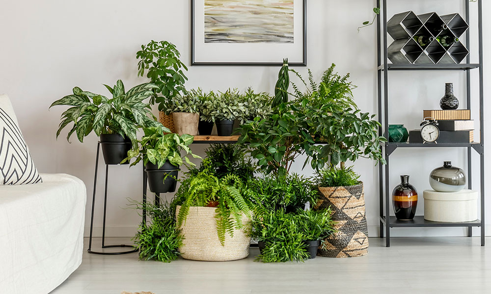 vasos-grandes-para-plantas